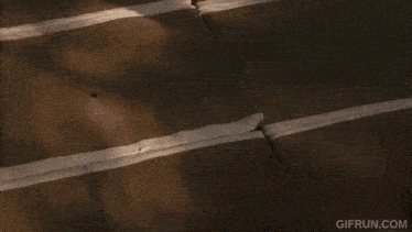 a person is laying on a wooden floor with a gifrun.com watermark on the bottom