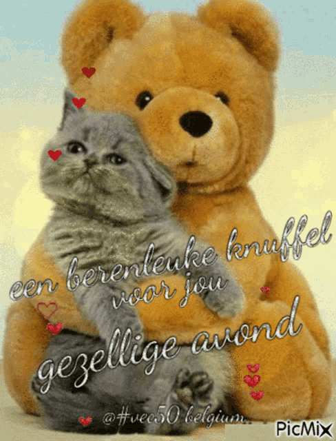 a picture of a teddy bear holding a kitten with the words " een berenleuke knuffel voor jou "