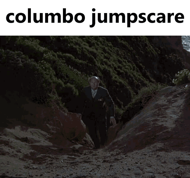 Columbo Columbo Detective GIF - Columbo Columbo Detective Jumpscare GIFs