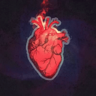 Pounding Heart GIF - Pounding Heart Nervous GIFs
