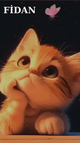 a picture of a cat with the name fidan on the bottom right