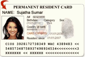 Green Card Permanent Resident Card GIF