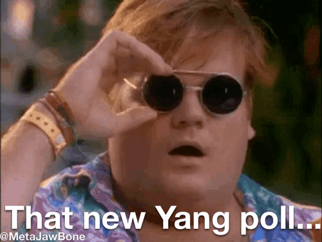 a man wearing sunglasses says " that new yang poll ... "