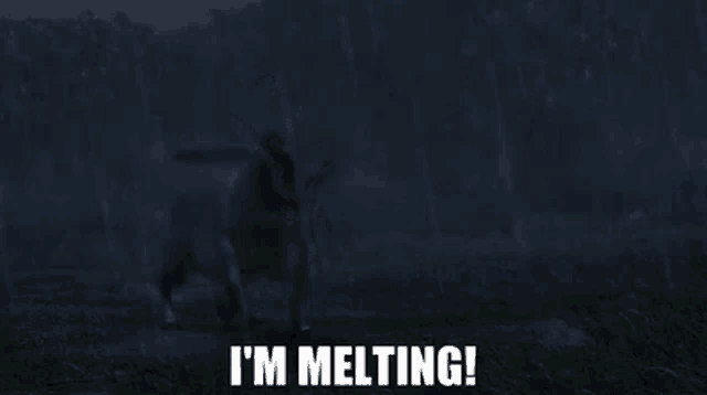 a silhouette of a person riding a horse with the words i 'm melting written on the bottom