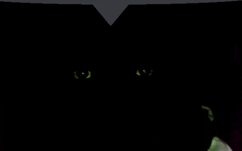 a person 's eyes are glowing in the dark .