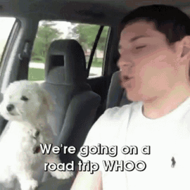 Excited College GIF - Excited College Trip GIFs