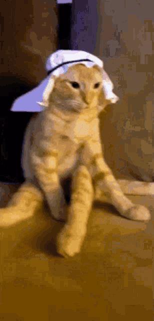 a cat wearing a white hat is sitting on the floor