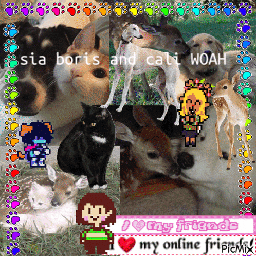 a collage of animals with the words sia boris and cali woah on the top