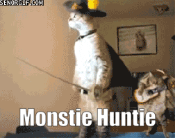 a cat dressed in a pirate costume is walking a dog with the caption monstie huntie