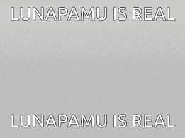 a laptop with a picture of two girls on the screen and the words lunapamu is real