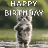 a kitten is standing on its hind legs in the water and saying happy birthday .