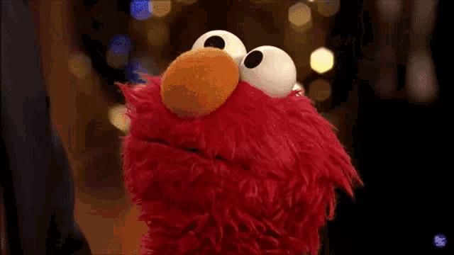 a close up of a red stuffed animal with a blurry background of lights .