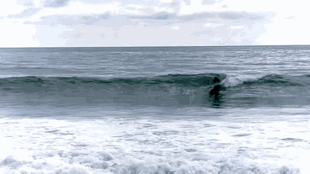 a surfer rides a wave in the ocean