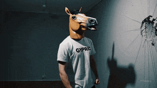 a man wearing a horse mask is wearing a gypric shirt