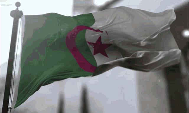 Flag Of Algeria GIF