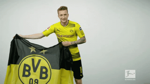 Reus Borussia Dortmund GIF