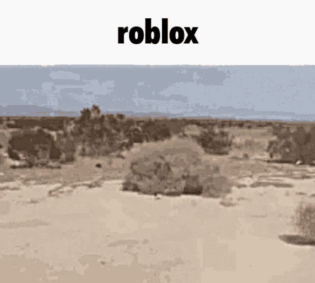 Roblox Dry GIF - Roblox Dry Boring GIFs
