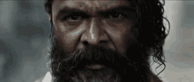 a man with a beard and curly hair is looking at the camera with a serious look on his face .