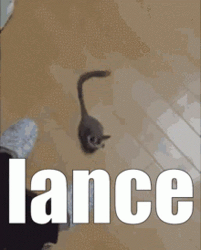 Lance GIF - Lance GIFs