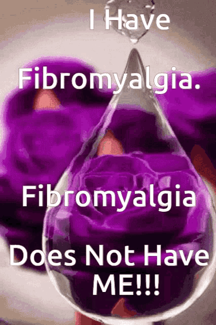 a picture of purple roses and a drop of liquid that says i have fibromyalgia fibromyalgia does not have me !!!