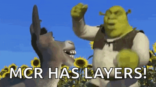 shrek is standing next to a donkey in a field of sunflowers and says `` mcr has layers '' .