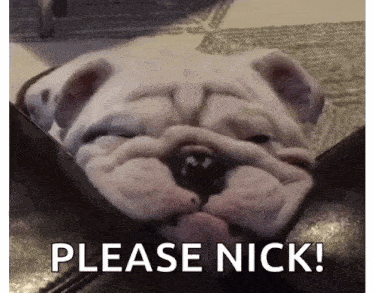 a bulldog is laying on a couch with its eyes closed and the words `` please nick '' above it .