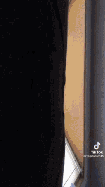 a person is standing in a dark room next to a window with a tiktok logo on the bottom right corner .