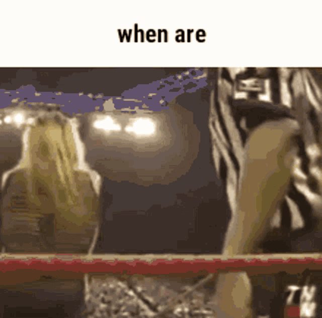 a picture of a referee in a boxing ring with the words " when are " on the bottom