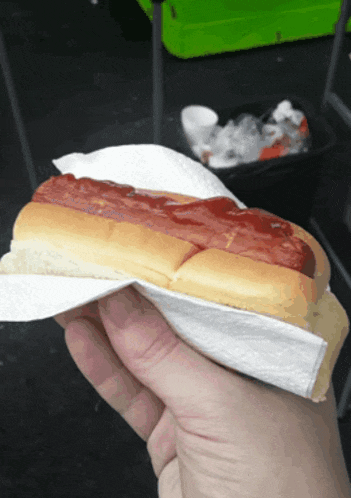 Hot Dog Ketchup GIF - Hot Dog Ketchup Food GIFs