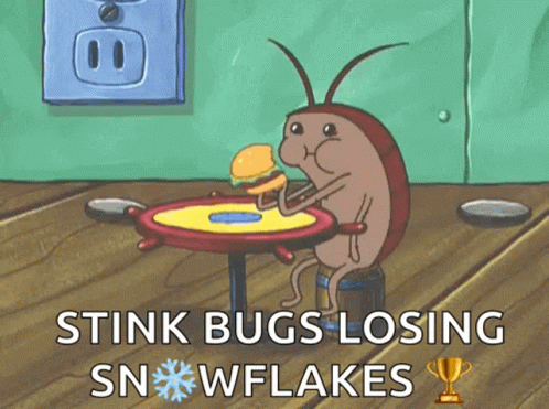 Stink Bugs Snow GIF - Stink Bugs Snow Losing GIFs