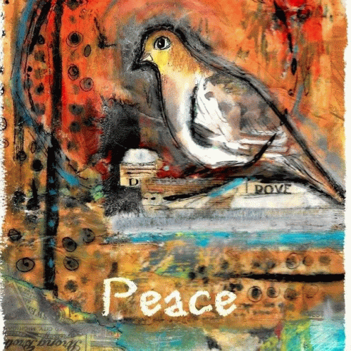 Peace Dove GIF - Peace Dove GIFs