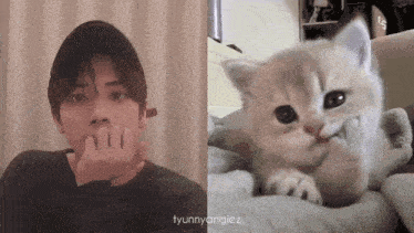 a man is biting his nails next to a kitten