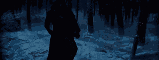 a silhouette of a person standing in the snow in a forest at night .