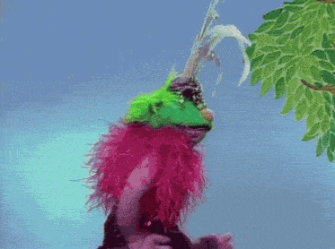 a green and pink puppet with feathers on its head
