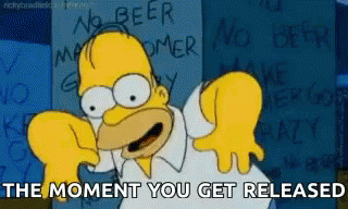 Homer Simpson Excited GIF - Homer Simpson Excited You Get Released GIFs