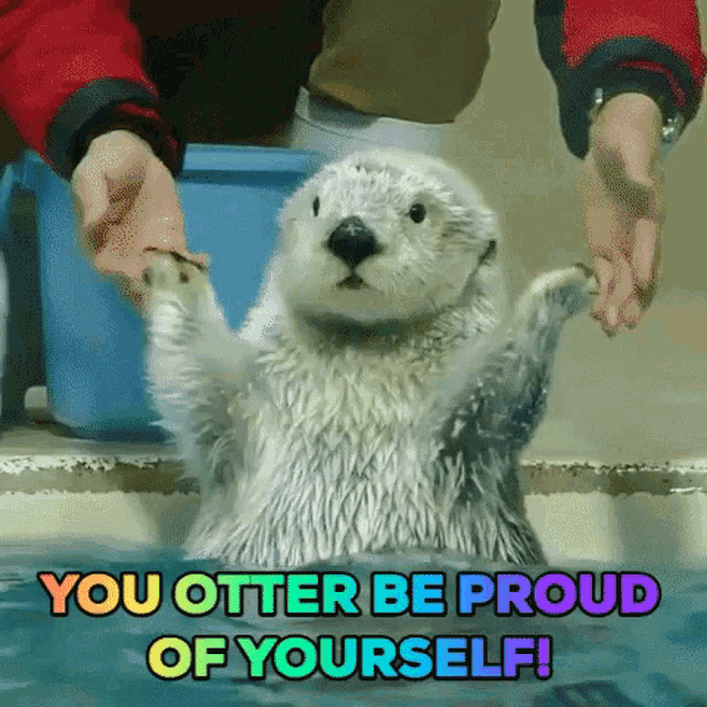 Otter Be Proud GIF