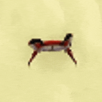 a red crab with large claws is sitting on a yellow surface .