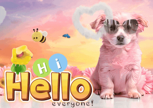 a pink dog wearing sunglasses sits in front of a hello everyone sign