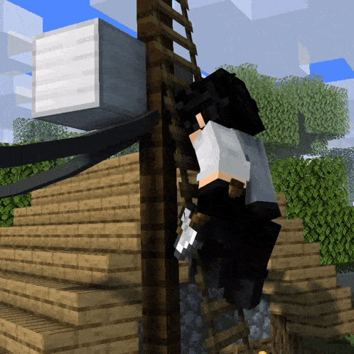 a minecraft character is climbing up a wooden ladder with a white box in the background