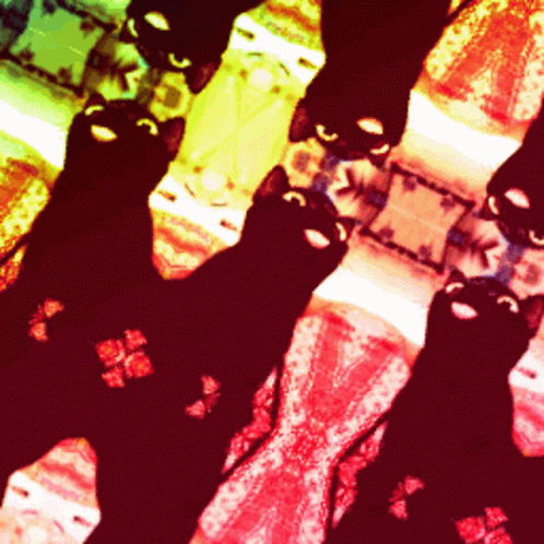 Blackcat Rainbow GIF - Blackcat Cat Rainbow GIFs