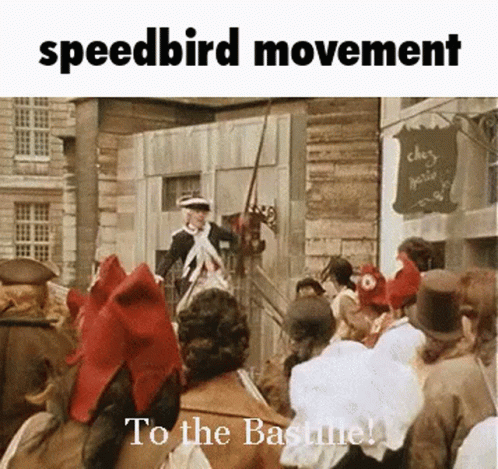 Speedbird_movement Speedbird Movement GIF