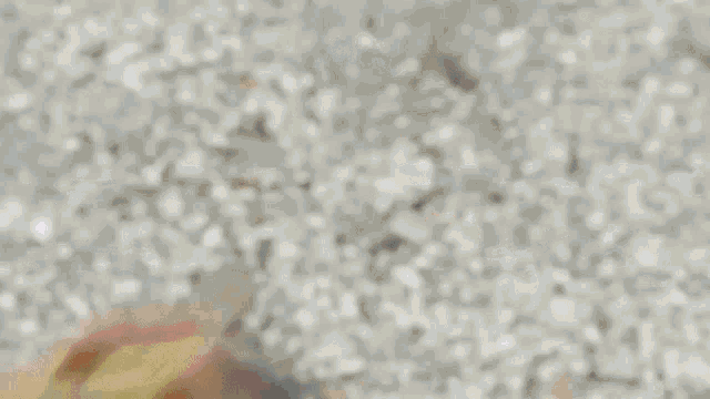 a blurred image of a person holding a can of coca cola