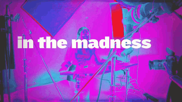 in the madness is written on a purple background