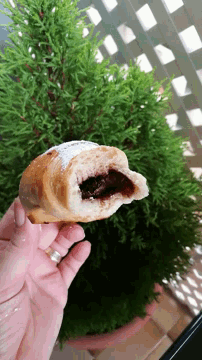 a person is holding a piece of bread in their hand with a plant in the background