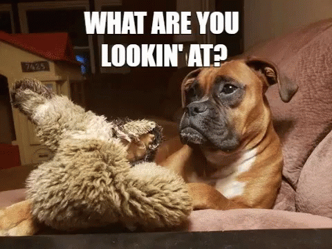 What Are You Lookin At What Are You Looking At GIF - What Are You Lookin At What Are You Looking At Mean Mug Boxer GIFs