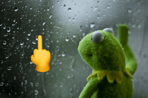kermit the frog is looking out a window with rain drops