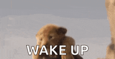 a lion cub is sitting on a rock with the words `` wake up '' written above it .