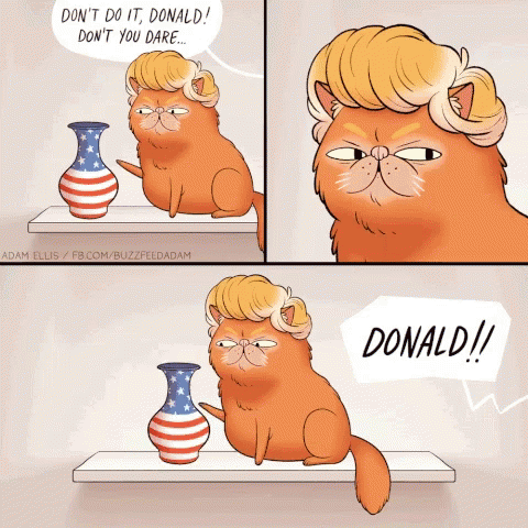 Donald GIF - Donald GIFs