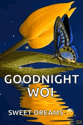 a butterfly is sitting on a yellow flower with the words `` goodnight woi sweet dreams ''