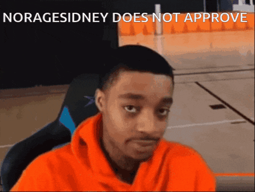 a man in an orange hoodie is sitting in a chair with the words noragesidney does not approve above him